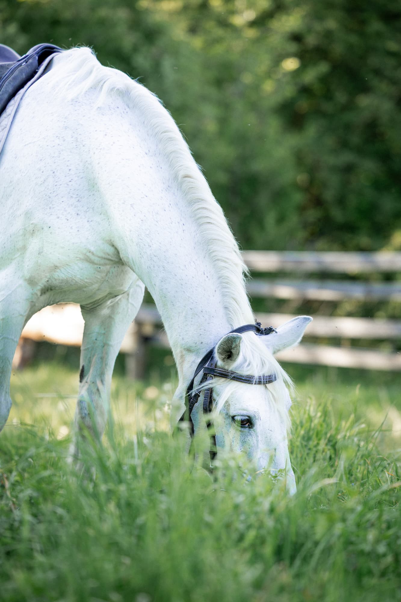 Пилигрим · фото 4