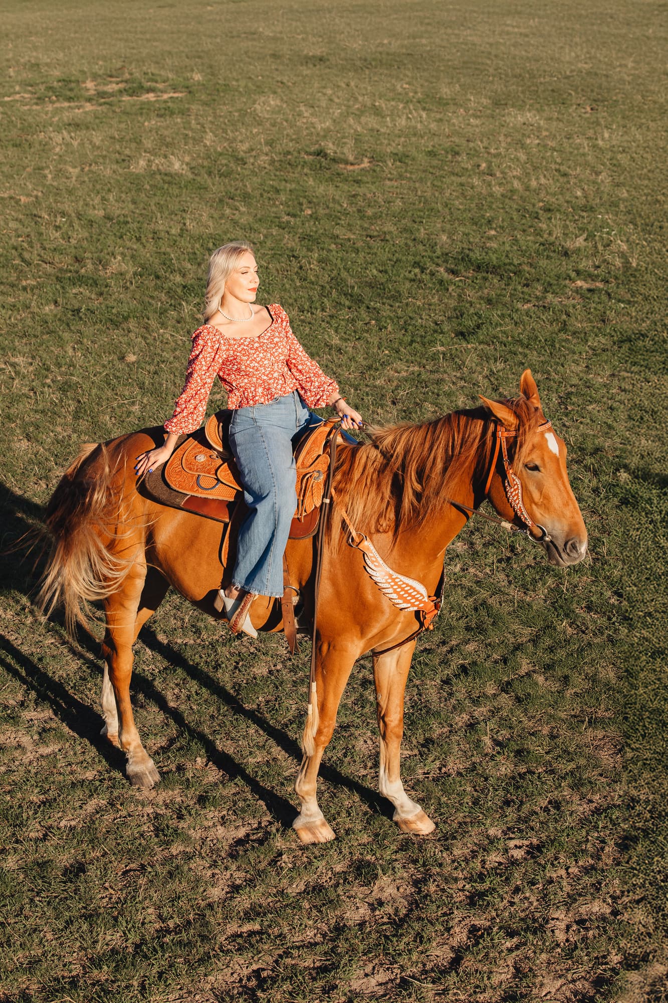 Ланселот · фото 4