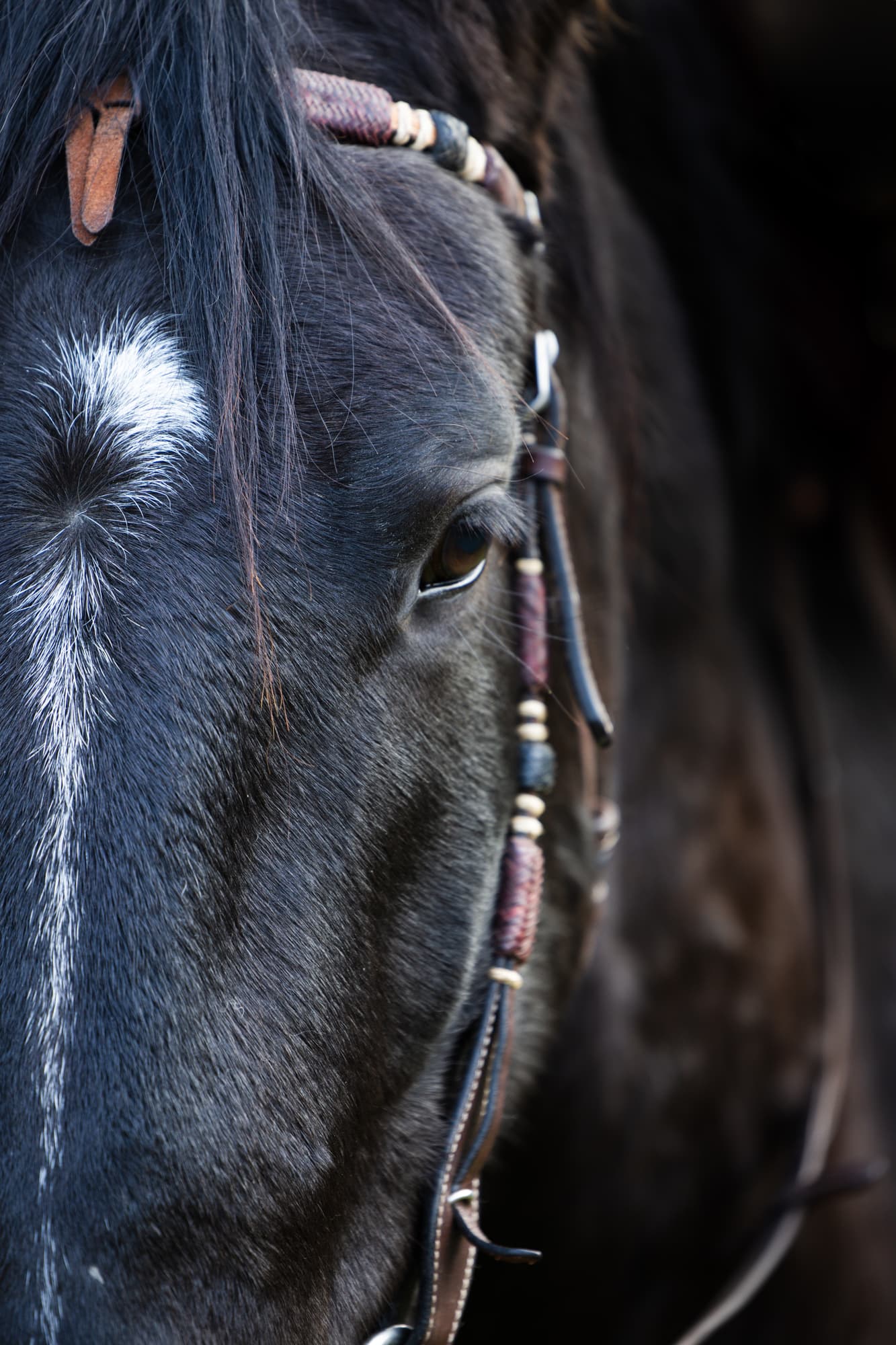 Синай · фото 4