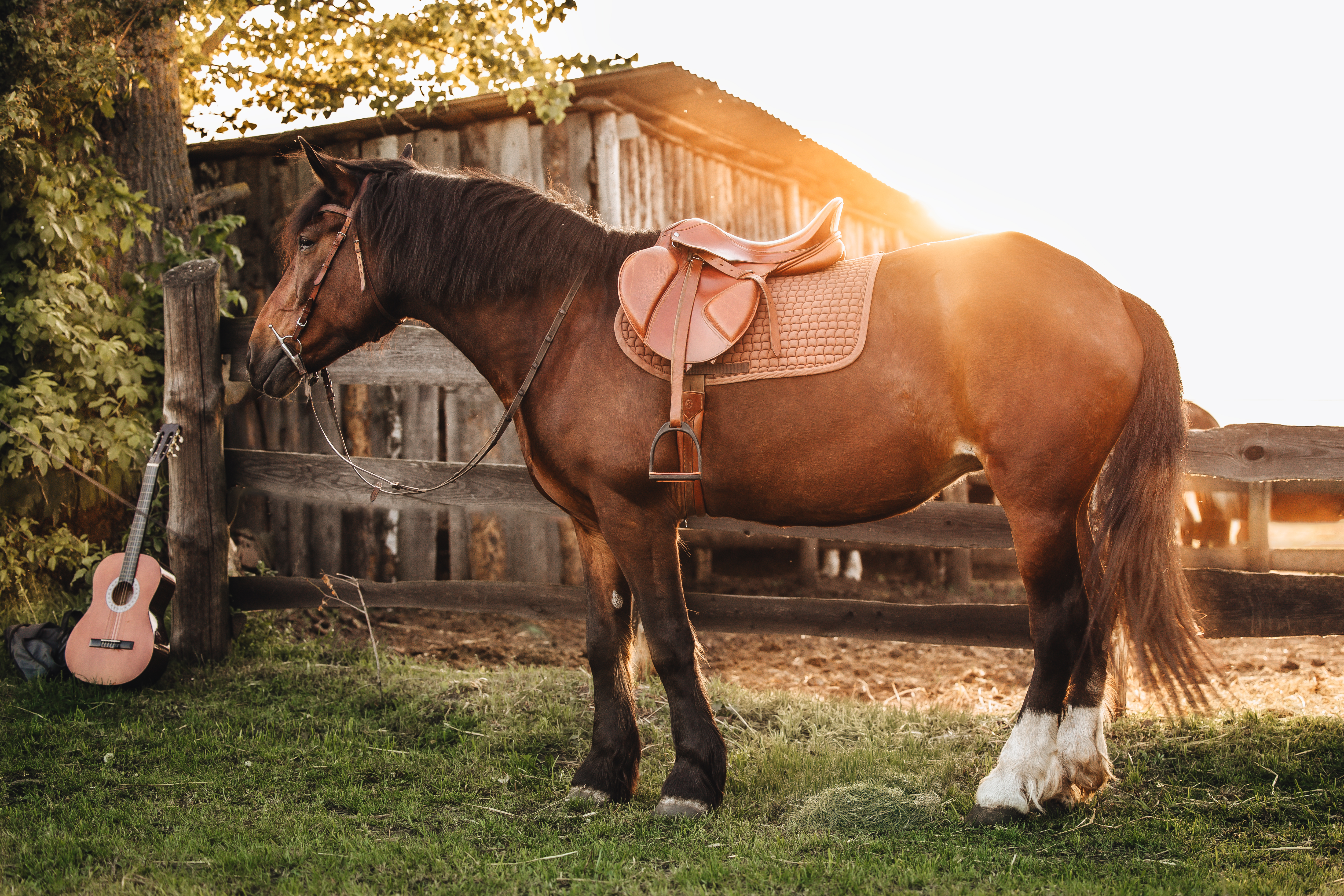 Лада · фото 3