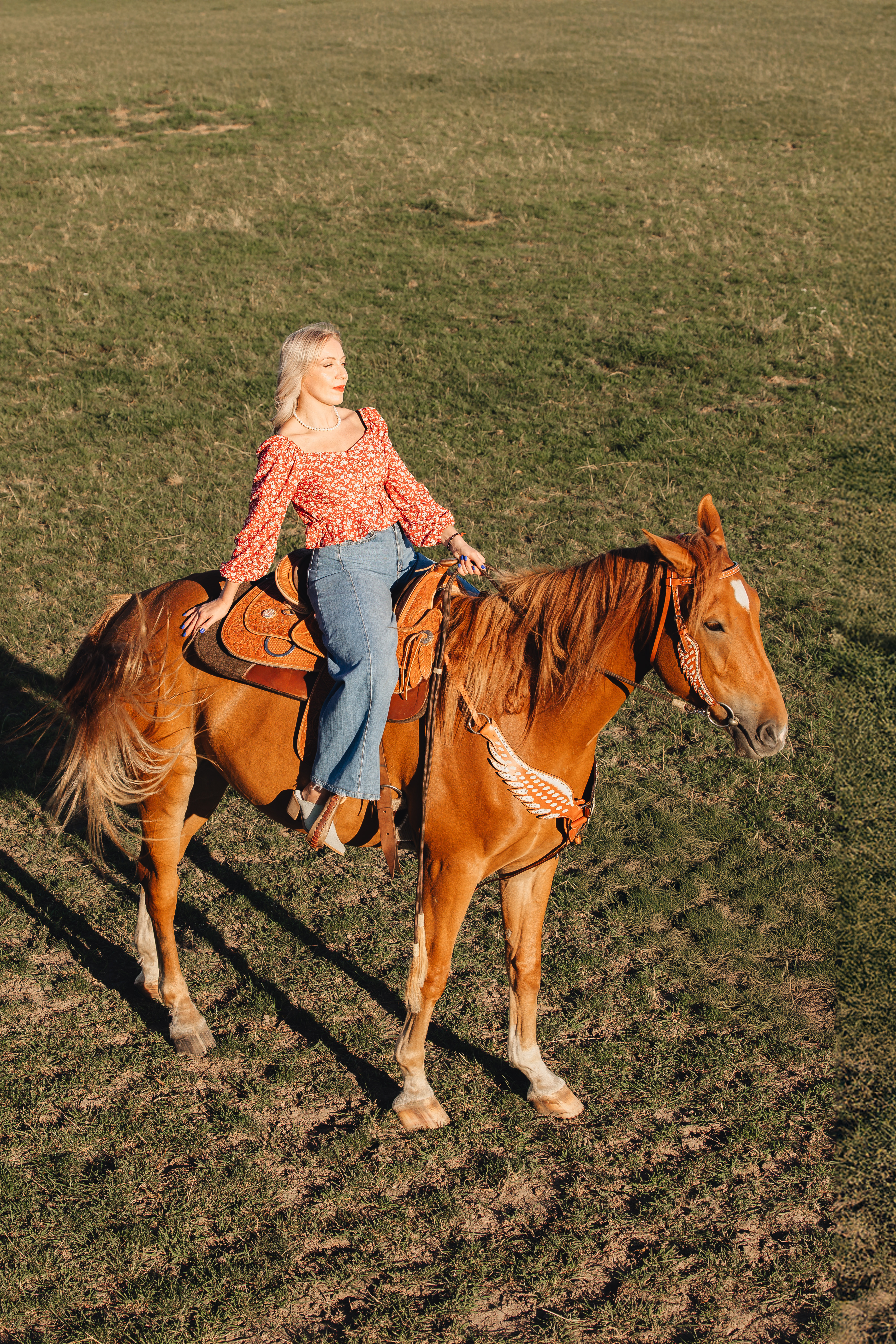 Ланселот · фото 4