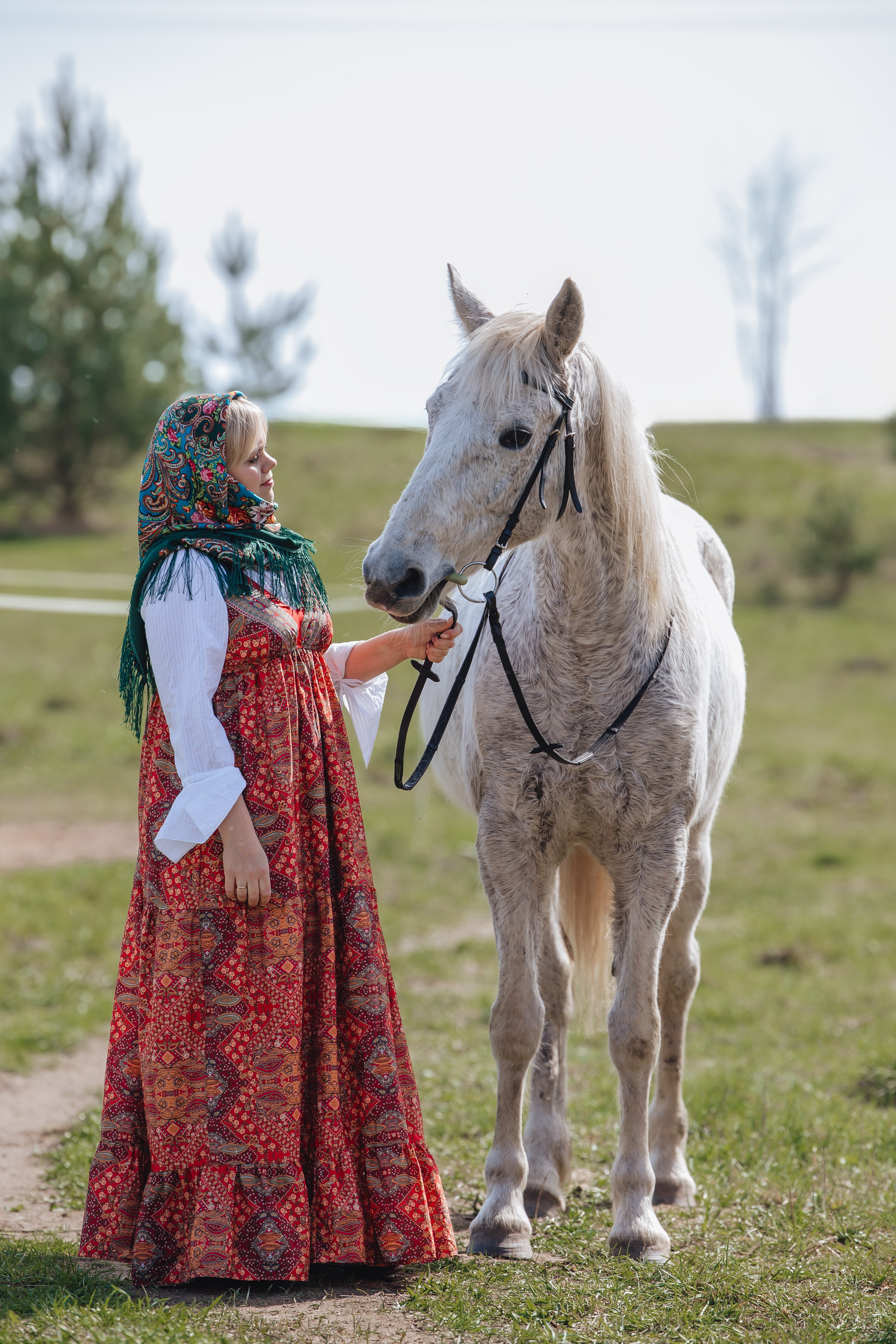 Люпина · фото 2