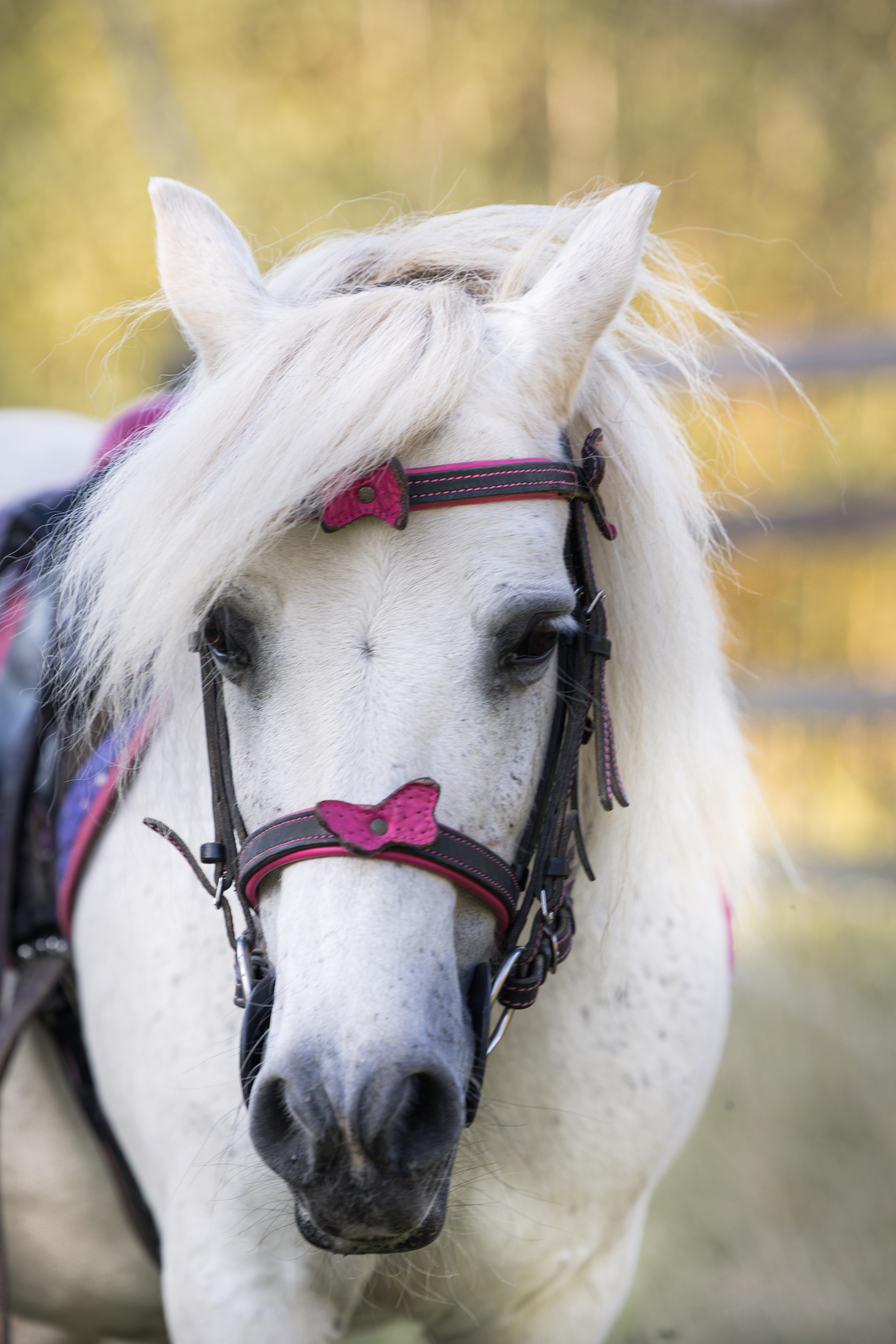 Блонди · фото 4