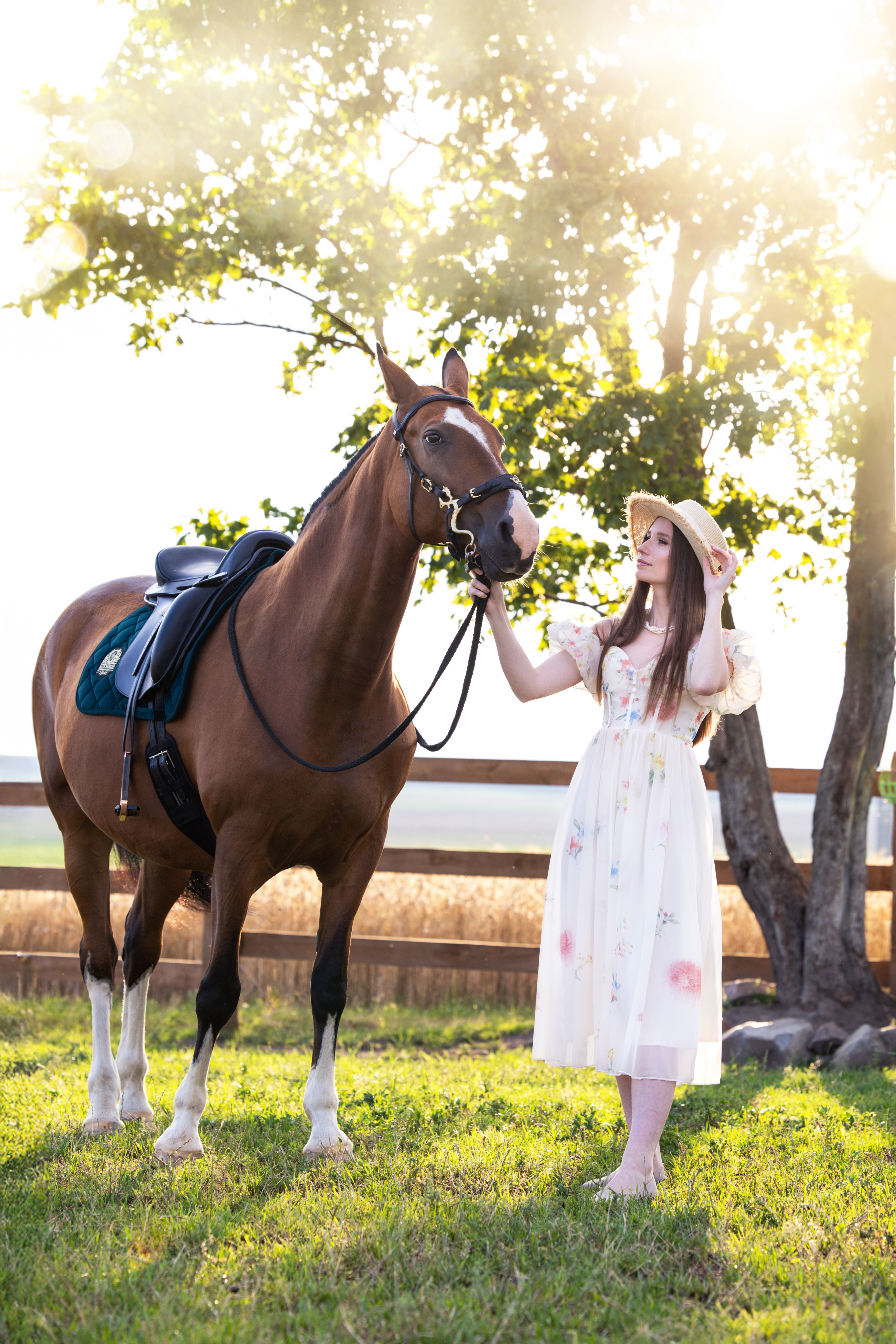 Индивидуальная фотосессия с лошадью