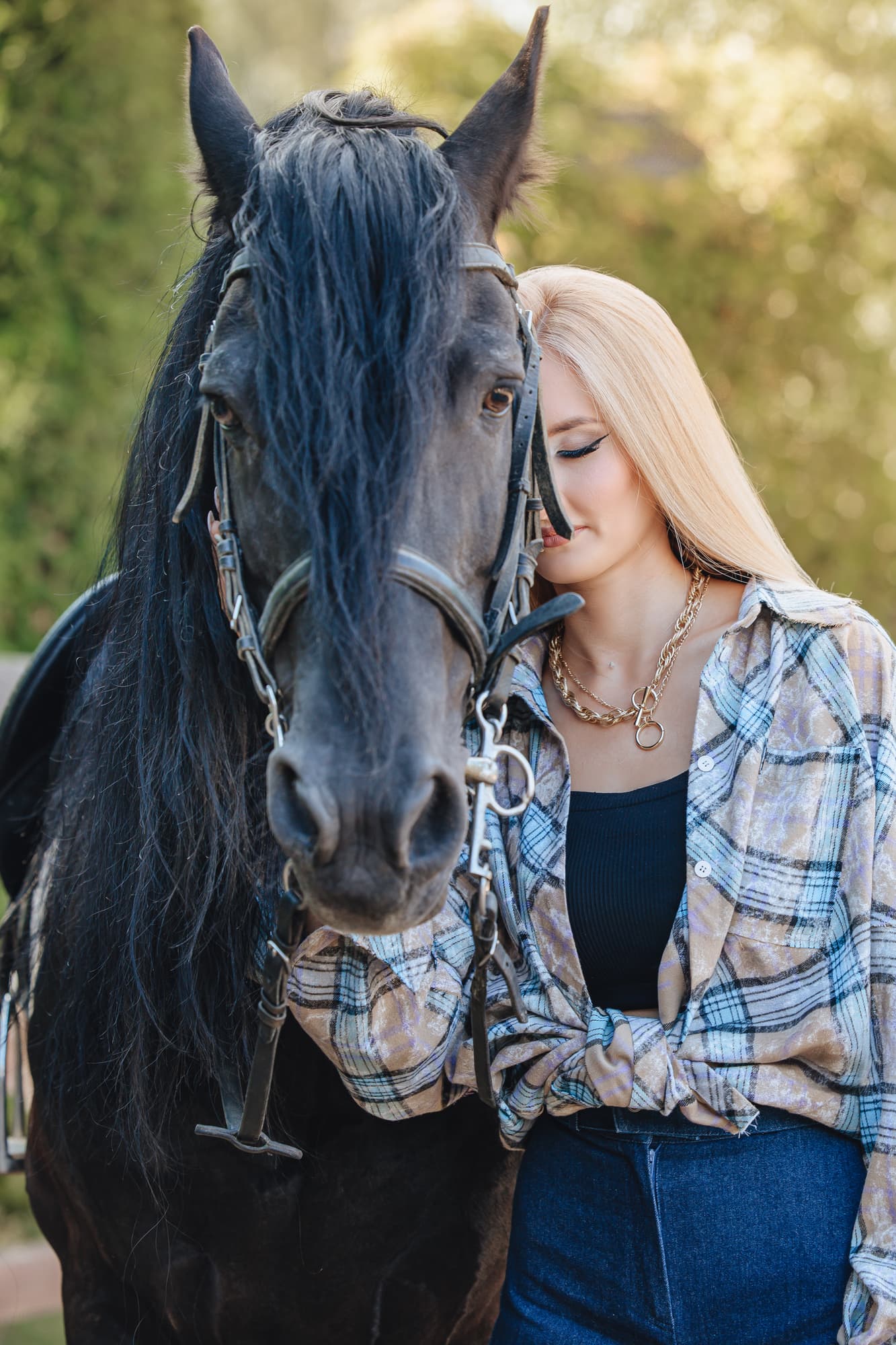 Индивидуальная фотосессия с лошадью фризской породы